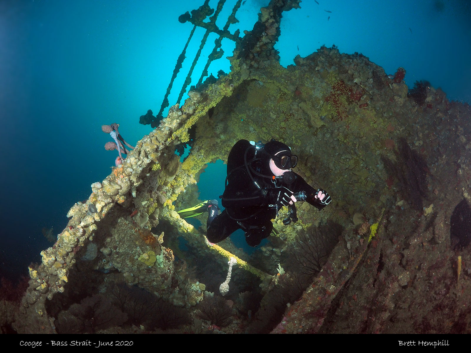Ships Graveyard, Bass Strait