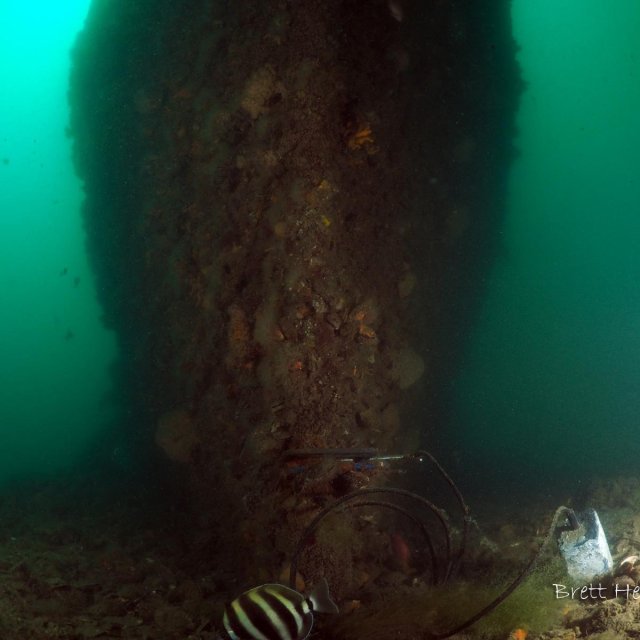 City of Launceston Wreck
