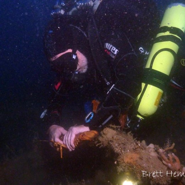 Don Diego Wreck