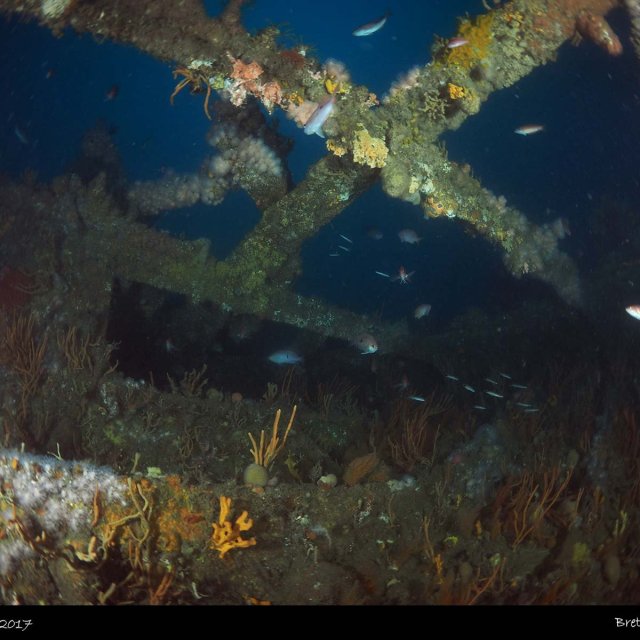 Werfa Wreck