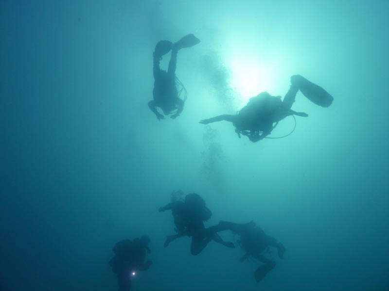 The Links | Scuba Diving Melbourne